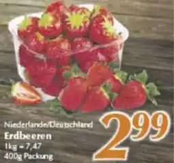 inkoop Erdbeeren Angebot