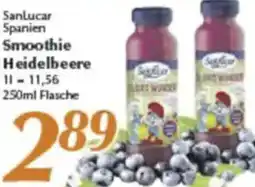inkoop Sanlucar Spanien Smoothie Heidelbeere Angebot