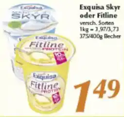inkoop Exquisa Skyr oder Fitline Angebot