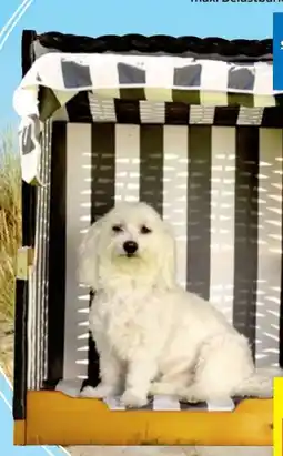 Thomas Philipps Hunde Tierstrandkorb Angebot