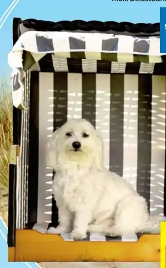 Thomas Philipps Hunde Tierstrandkorb Angebot