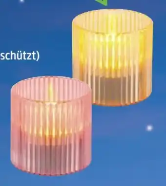 Thomas Philipps LED-Teelichte Angebot