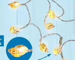 Thomas Philipps Lichterkette mit Muscheln Angebot