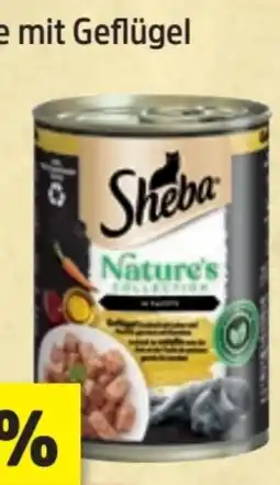 Thomas Philipps Sheba Nature’s Angebot