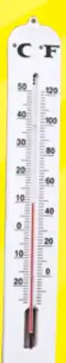 Thomas Philipps Gartenthermometer Jumbo Angebot