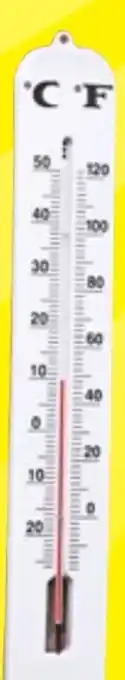 Thomas Philipps Gartenthermometer Jumbo Angebot