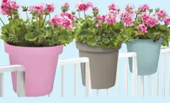 Thomas Philipps Blumen-Geländertopf 28 cm Angebot