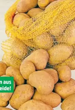 Thomas Philipps Speisekartoffeln Angebot