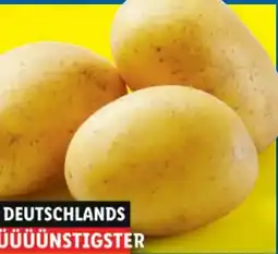 Lidl Speisefrühkartoffeln Angebot