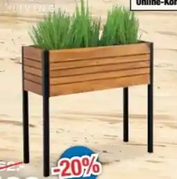 Ostermann Sansibar Pflanzkübel Collection Falun Angebot