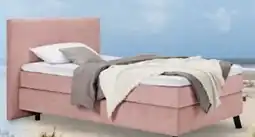 Trends Möbel Sansibar Boxspringbett Svendborg Angebot