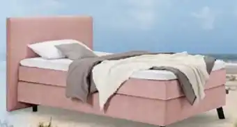 Trends Möbel Sansibar Boxspringbett Svendborg Angebot