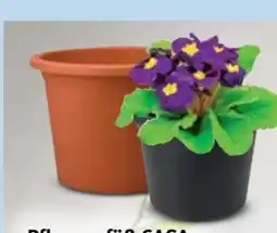 Trends Möbel Pflanzgefäß Casa Angebot