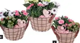 toom Baumarkt Muttertags-Arrangements Angebot