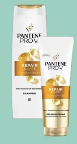 Rossmann Pantene Pro-V Shampoo Angebot