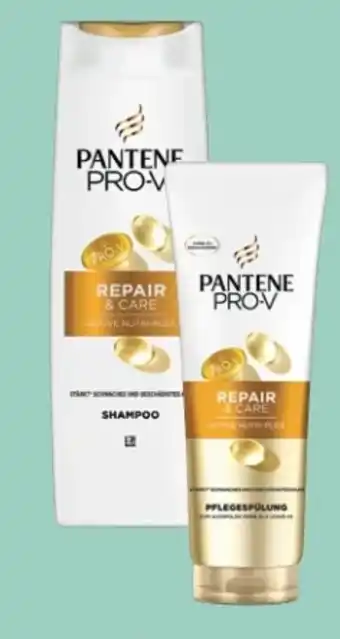 Rossmann Pantene Pro-V Shampoo Angebot