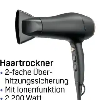 Rossmann Rossmann Ideen Welt Haartrockner Angebot