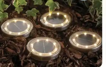 Rossmann Rossmann Ideen Welt Solar-Gartenleuchten Angebot