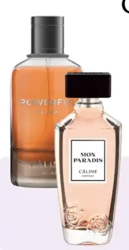Rossmann Câline Man EdP Angebot