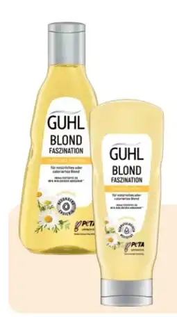 Rossmann Guhl Shampoo Angebot