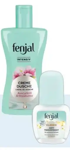 Rossmann Fenjal Dusche Angebot