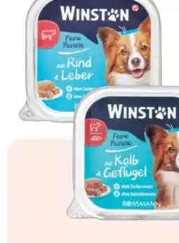Rossmann Winston Feine Pastete Angebot