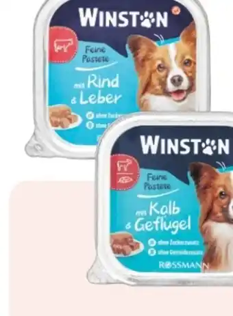 Rossmann Winston Feine Pastete Angebot