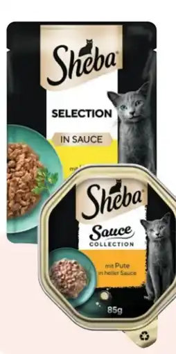 Rossmann Sheba Katzennahrung Angebot