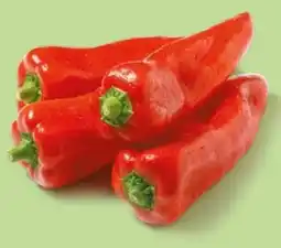 NETTO Roter Spitzpaprika Angebot