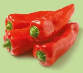 NETTO Roter Spitzpaprika Angebot