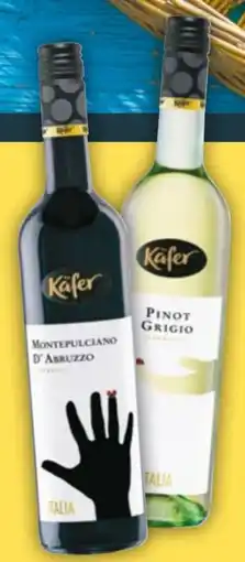 NETTO Käfer Montepulciano D'Abruzzo Angebot