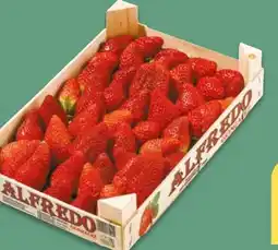 NETTO Erdbeerstiege Alfredo Angebot