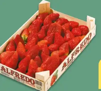 NETTO Erdbeerstiege Alfredo Angebot