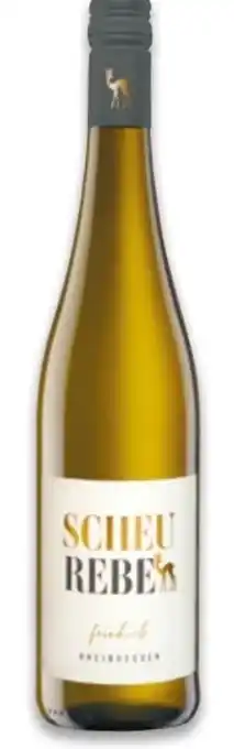 NETTO Netto Scheurebe Angebot