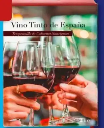 Aldi Süd Vino Tinto de España Angebot
