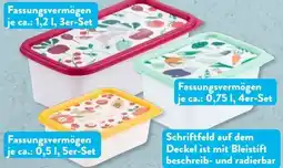 Aldi Süd Crofton Tiefkühldosen-Set Angebot