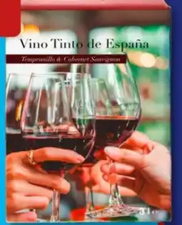 Aldi Süd Vino Tinto de España Angebot