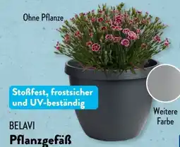 Aldi Süd Belavi Pflanzgefäß Angebot