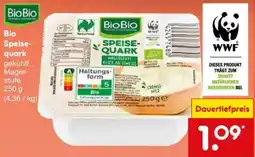 Netto Marken-Discount Bio Speisequark Angebot