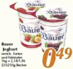 inkoop Bauer Joghurt Angebot