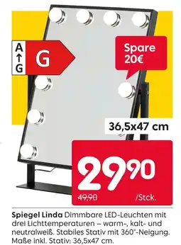 Rusta Spiegel linda Angebot