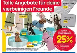 Rusta Sommer-schnäppchen für hunde und katzen Angebot
