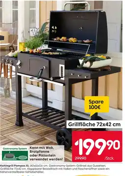 Rusta Kohlegrill pampas xl Angebot