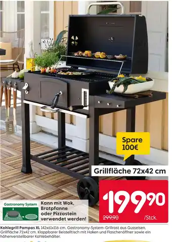 Rusta Kohlegrill pampas xl Angebot