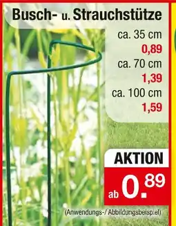 Zimmermann Busch- u. strauchstütze Angebot