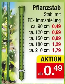 Zimmermann Pflanzstab Angebot