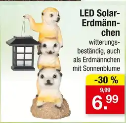 Zimmermann Led solar-erdmännchen Angebot