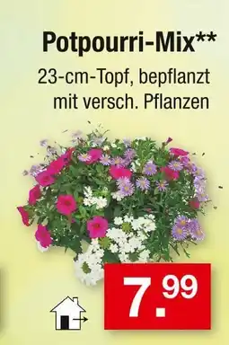 Zimmermann Potpourri-mix Angebot