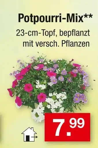 Zimmermann Potpourri-mix Angebot
