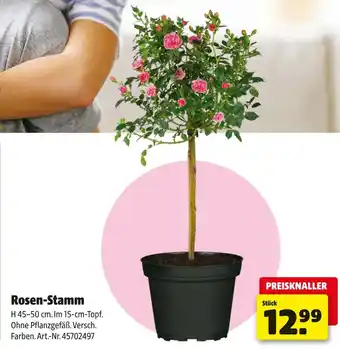 Hagebau Rosen-stamm Angebot